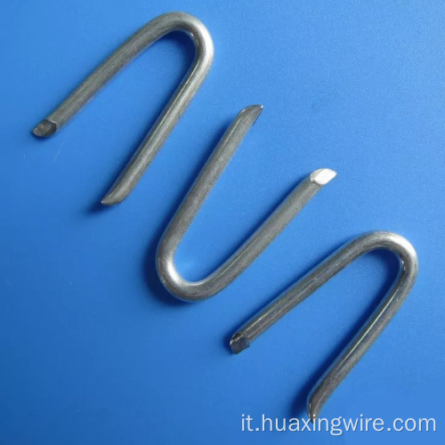 Fence Staples U tipo unghie